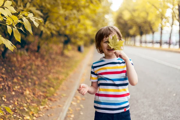 Retrato Niño Alegre Sonriente Con Una Sonrisa Sostiene Una Hoja —  Fotos de Stock