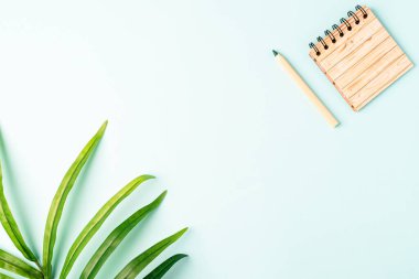 Kalem ve defterle okul pankartına geri dönüyoruz. Ofis malzemeleri ve kırtasiye malzemeleri. Nane arkaplanı ve mesaj için yeri var. Sıfır atık çevre dostu kavram.