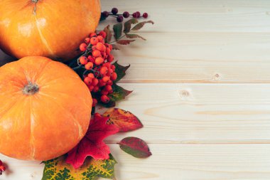 Balkabakları, böğürtlenler ve düşmüş yapraklar tahta arka planda. Uzayı metin için kopyala. Cadılar Bayramı, Şükran Günü ya da mevsimsel sonbahar. Tasarım modeli. Şükran Günü geçmişi. Düz yatış, üst görünüm.