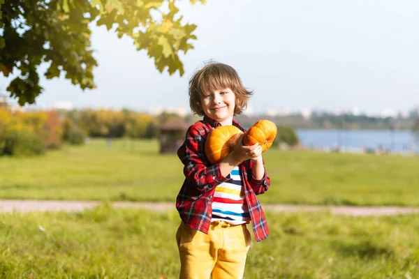 Lindo Niño Jugar Con Calabaza Parque Otoño Halloween Los Niños —  Fotos de Stock