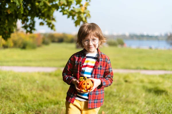 万圣节的时候 戴着眼镜的可爱男孩在秋天的公园里和南瓜玩耍 孩子们不给糖就捣蛋 秋天的乐趣 穿上衣服的孩子 — 图库照片