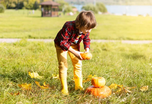 Lindo niño jugar con la calabaza en el parque de otoño en Halloween. Los niños engañan o tratan. Diversión en otoño. Vestido niño —  Fotos de Stock