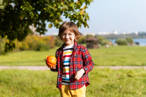 Niño Lindo Gafas Jugar Con Calabaza Parque Otoño Halloween Los —  Fotos de Stock