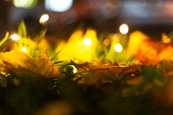 Rozmazané Podzimní Javorové Listy Noci Světlem Rozostřené Pozadí Pádu — Stock fotografie