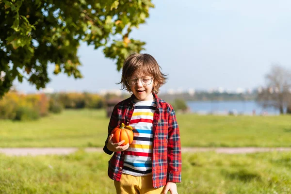 Netter Junge Brille Spielt Halloween Herbstpark Mit Kürbis Kinder Tricksen — Stockfoto