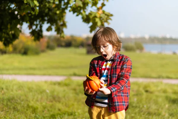 Überrascht Netter Junge Brille Spielt Mit Kürbis Herbstpark Halloween Kinder — Stockfoto