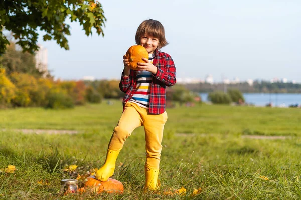 Lindo Niño Jugar Con Calabaza Parque Otoño Halloween Los Niños —  Fotos de Stock