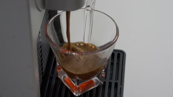 Кофе Эспрессо Высшего Качества Итальянского Производства Капсульной Кофеваркой Попадает Прозрачную — стоковое видео