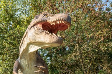 Tarih öncesi dinozor tyrannosaurus rex yakın up.sunny gün gibi büyük modeli.