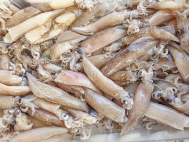 Buzda fetişlerin kalamar 