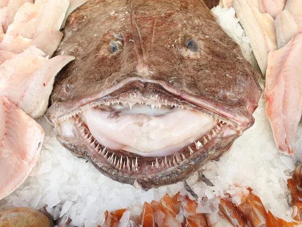 Marulk och färsk fisk på nära håll — Stockfoto
