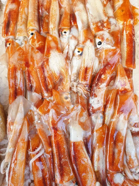 Calamar fresco en hielo en venta — Foto de Stock