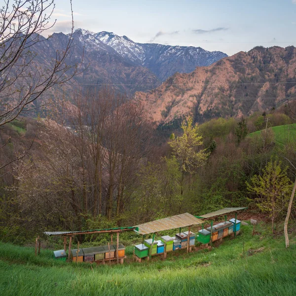 Bikupor på äng nära Bergamo — Stockfoto