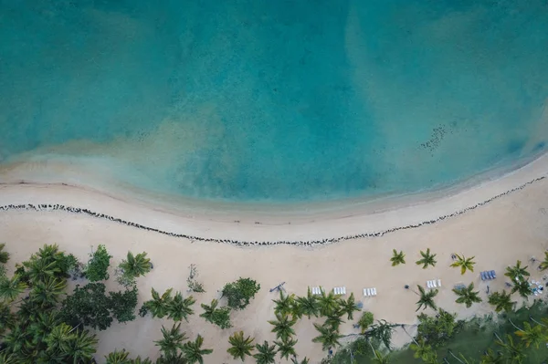 Вид с воздуха на пляж Самана — стоковое фото