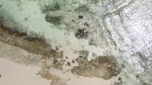 Aerial view (vortex shot) of tropical beach — Stock Video