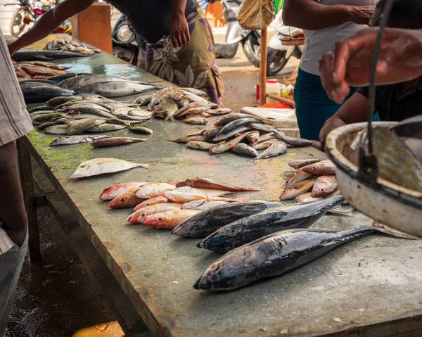 retail sale of fish at the market