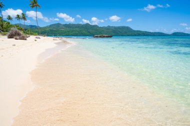 Rincon 'da harika tropik beyaz kumlu plaj, Samana yarımadasında güneşli bir gün, Dominik Cumhuriyeti