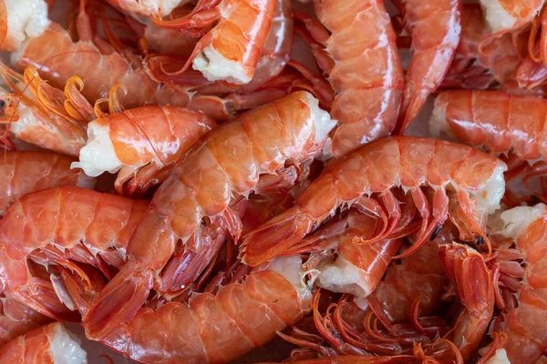 Camarones Rojos Argentinos Mercado Mariscos — Foto de Stock