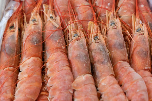 魚介類市場で頭の上に冷凍アルゼンチンの赤エビ — ストック写真
