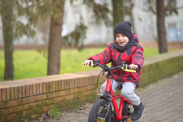 Cheerful Little Boy While Riding Bicycle Park — Stock Photo, Image