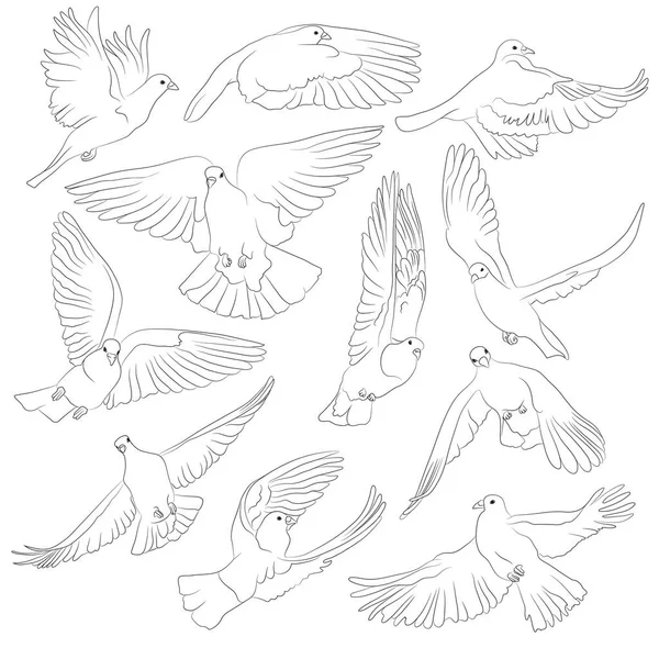 Conjunto Aves Voladoras Aisladas Ilustración Vectorial — Archivo Imágenes Vectoriales