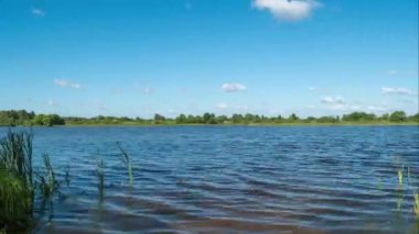 Paninsky gölet, Moscow region rüzgarlı bir günde, Rusya. Su yüzeyinde dalga dalgalanma. Kümülüs küçük bulutlar. 4k, 3840 x 2160, timelapse.