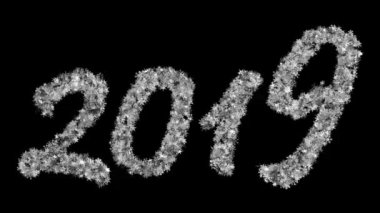 2019 yeni yıl siyah bir arka plan üzerinde titreşen kar taneleri çeşitli kurdu. Ekran modunda kullanmak için en iyi. 4k, 3840 x 2160. İlmekledi video.