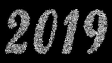 2019 yeni yıl siyah bir arka plan üzerinde titreşen kar taneleri çeşitli kurdu. Ekran modunda kullanmak için en iyi. 4k, 3840 x 2160. İlmekledi video.