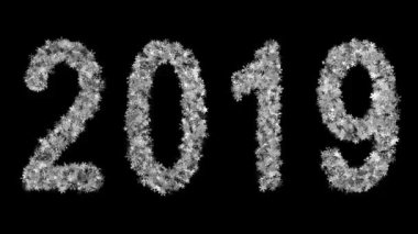 2019 yeni yıl siyah bir arka plan üzerinde titreşen kar taneleri çeşitli kurdu. Ekran modunda kullanmak için en iyi. 4k, 3840 x 2160. İlmekledi video.