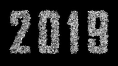 2019 yeni yıl siyah bir arka plan üzerinde titreşen kar taneleri çeşitli kurdu. Ekran modunda kullanmak için en iyi. 4k, 3840 x 2160. İlmekledi video.