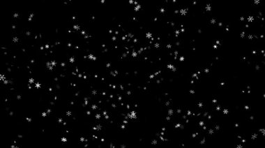 2019 yeni yıl titreşen kar taneleri ve tersi siyah bir arka plan üzerinde bir bulut oluşmuştur. Ekran modunda kullanmak için en iyi. 4k, 3840 x 2160. İlmekledi Seemless video.
