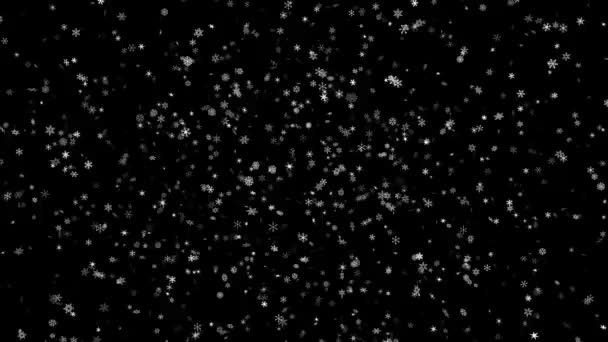 凝结的闪烁的雪花作为圣诞快乐和解散的黑色背景 在屏幕模式下使用的最佳方法 3840X2160实现无缝环形视频 — 图库视频影像