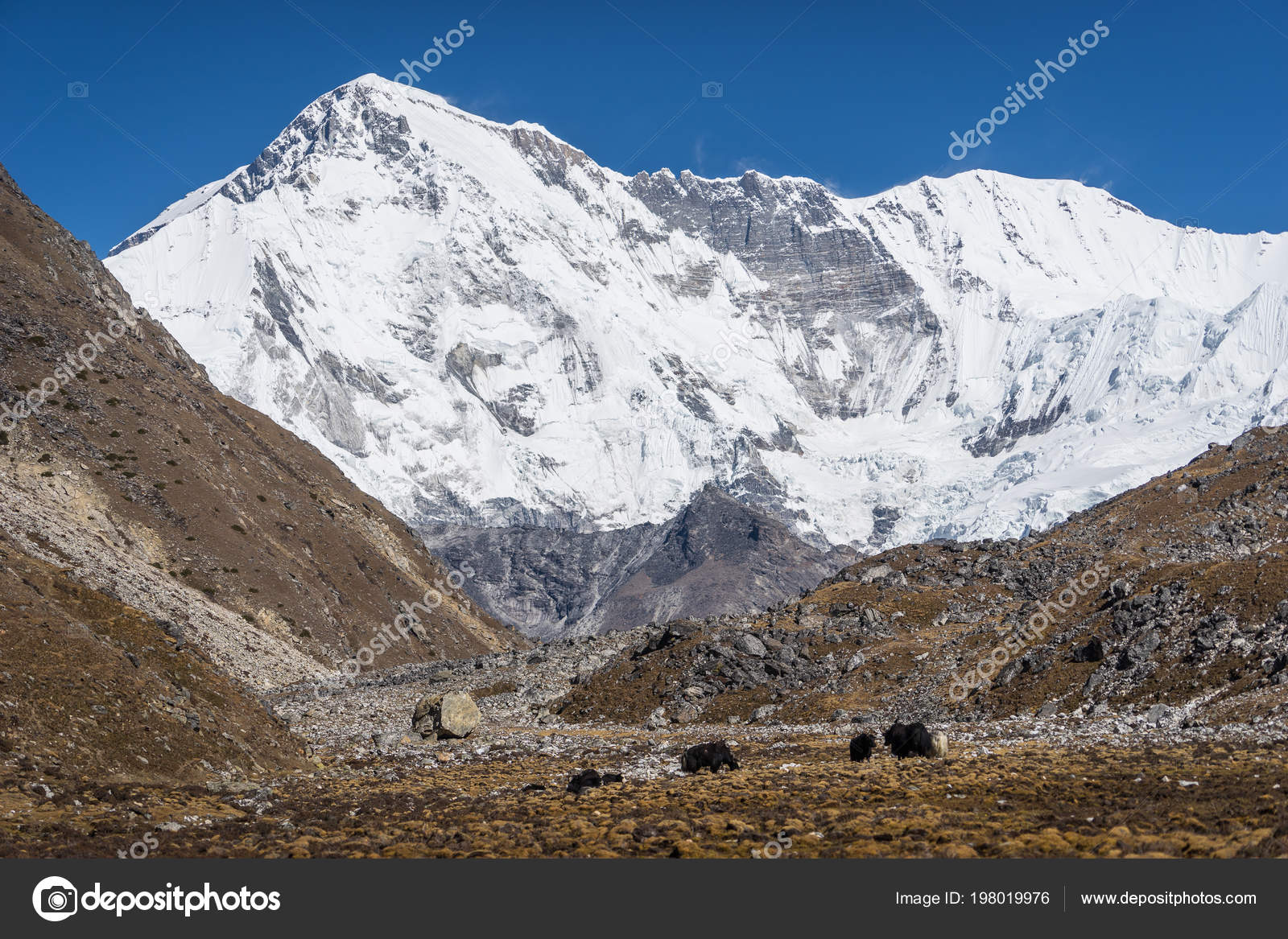 Sommet Montagne Cho Oyu 6ème Haut Sommet Monde Région