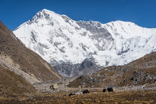 Cho Oyu Berg 6De Hoogste Berg Ter Wereld Everest Regio — Stockfoto