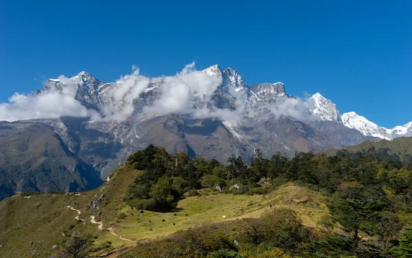 Kongde Sommet Derrière Forêt Pins Himalaya Montagne Népal Asie — Photo