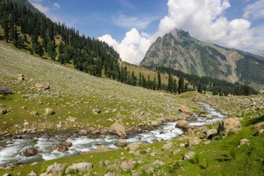 Sonamarg yaz sezonu, Jammu Keşmir, Hindistan, Asya'nın güzel sahne