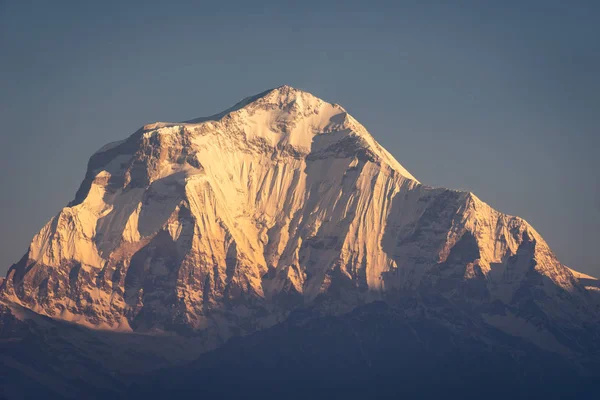 Dhaulagiri mountain peak, seventh highest peak in the world in a morning sunrise, Annapurna range, Himalayas mountain ,Nepal, Asia