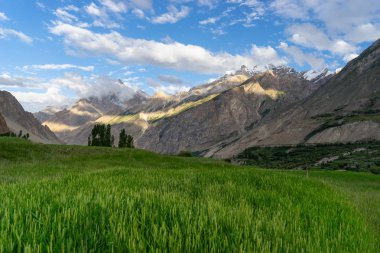 Askole village, temel başlangıç K2 köyü yaz aylarında kamp trek, Karakoeam dağ silsilesi, Pakistan, Asya
