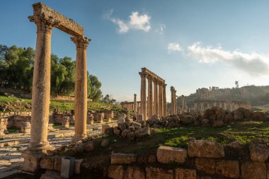Jerash antik ve Ürdün, Arap roma kenti harabe