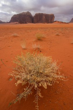 Bulutlu bir günde Wadi Rum çöl manzarası, Ürdün, Orta Doğu