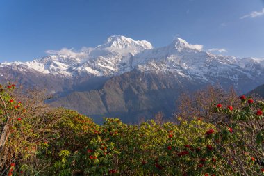 Mardi Himal trek Annapurna dağ manzarası, Himalayalar m