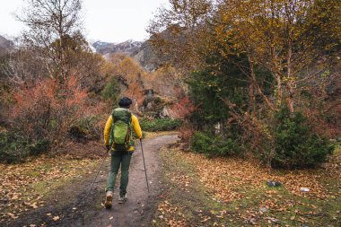 Sırt çantalı genç Asyalı yürüyüşçü sonbahar mevsiminde Manaslu pistinde güzel bir yolda yürüyor, Himalaya dağları Nepal, Asya 'da sıradağlarda.