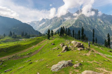 Sonamarg 'da güzel bir yaz mevsimi. Himalaya dağlarının ve çayırlarının manzarası. Keşmir, Kuzey Hindistan, Asya