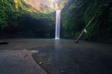 Tibumana Şelalesi, Endonezya, Asya 'nın merkezinde tropikal ormanda güzel bir şelale.