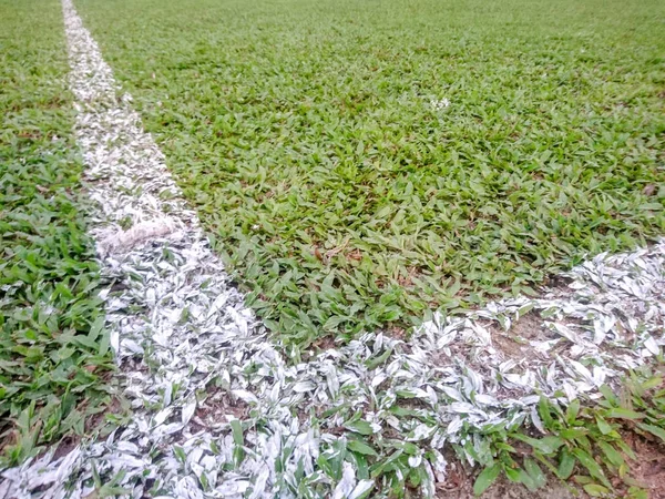 Kuala Lumpur Junio 2018 Campo Fútbol Con Hierba Verde Día —  Fotos de Stock