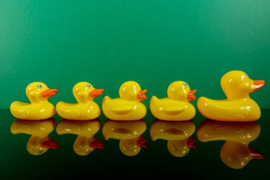 Ördekler yeşil arka plan üzerinde yansıması ile büyük ördek takip grubu. Liderlik kavramsal.