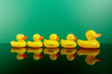 Ördekler yeşil arka plan üzerinde yansıması ile büyük ördek takip grubu. Liderlik kavramsal.