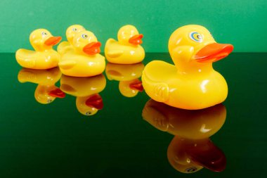 Ördekler yeşil arka plan üzerinde yansıması ile büyük ördek takip grubu. Liderlik kavramsal.