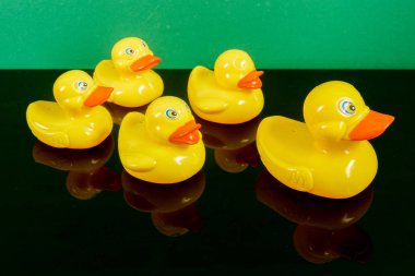 Ördekler yeşil arka plan üzerinde yansıması ile büyük ördek takip grubu. Liderlik kavramsal.