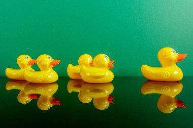 Ördekler yeşil arka plan üzerinde yansıması ile büyük ördek takip grubu. Liderlik kavramsal.